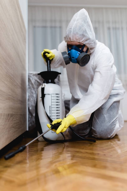 Professional Pest Control in East Aurora, NY